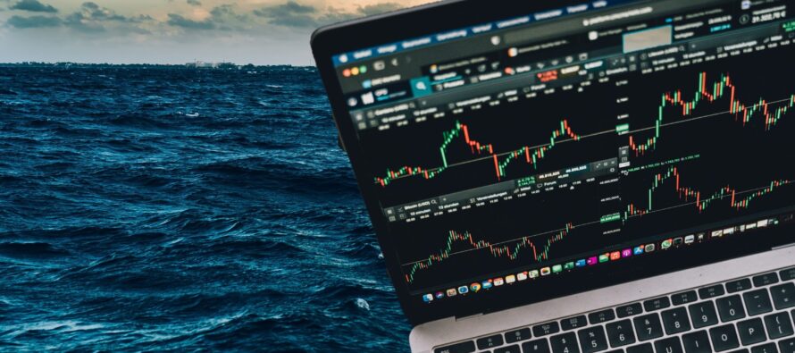 Yachting Through the Crypto Winter